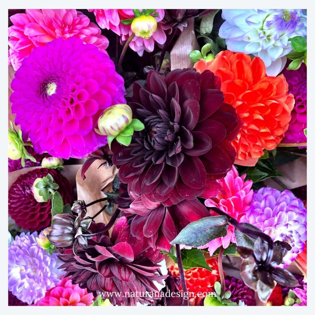 regalo-personalizado-con-flores-para-aniversario-de-boda-naturanadesign